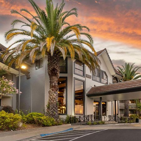 Best Western Plus Novato Oaks Inn Dış mekan fotoğraf